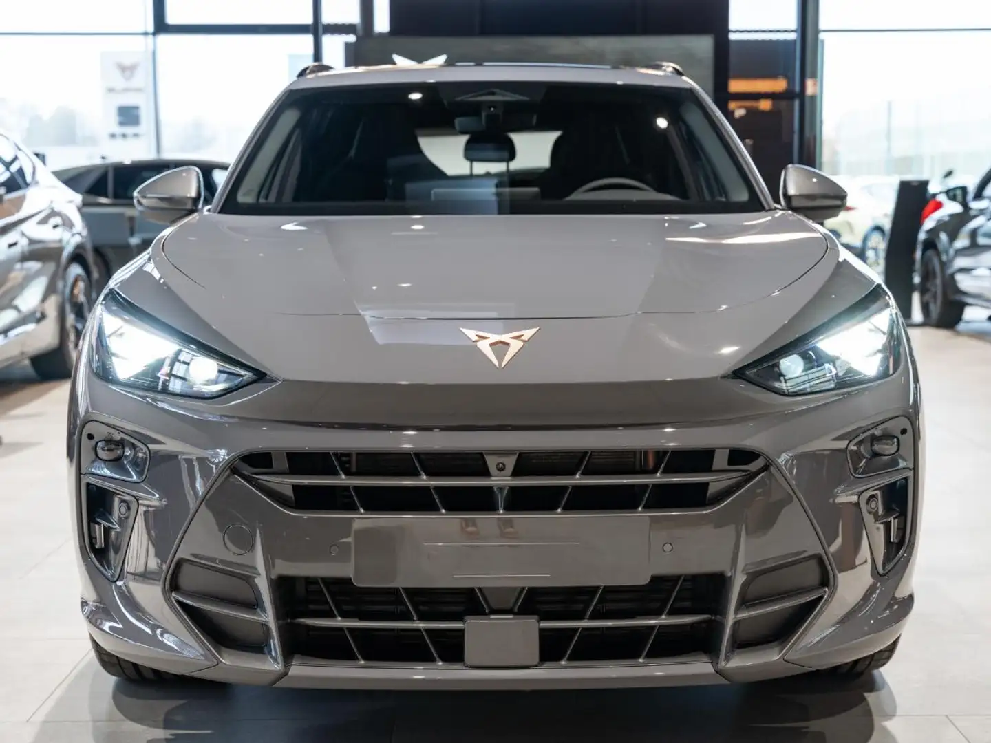 CUPRA Terramar VZ 2.0 TSI 195 kW 265 PS 7-Gang DSG Lagerwagen sof Grau - 2