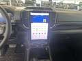 Ford Ranger Ranger Doppelkabine Wildtrak e-4WD 2.3 EcoBoost... Grau - thumbnail 9