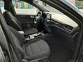 Ford Kuga 2.5 Duratec PHEV ST-Line 4x2 Gris - thumbnail 11