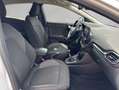 Ford Puma 1.0 EcoBoost Hybrid TITANIUM Blanc - thumbnail 13