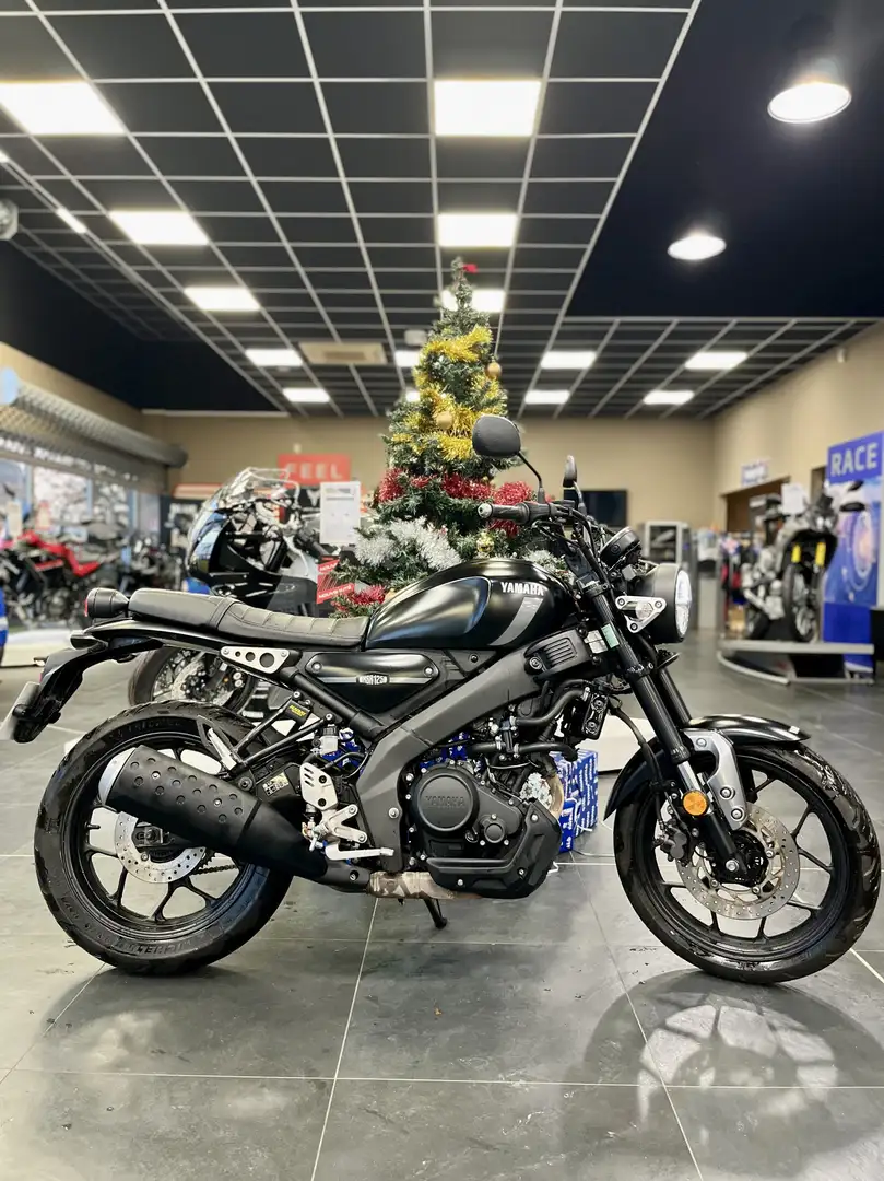 Yamaha XSR 125 - 2