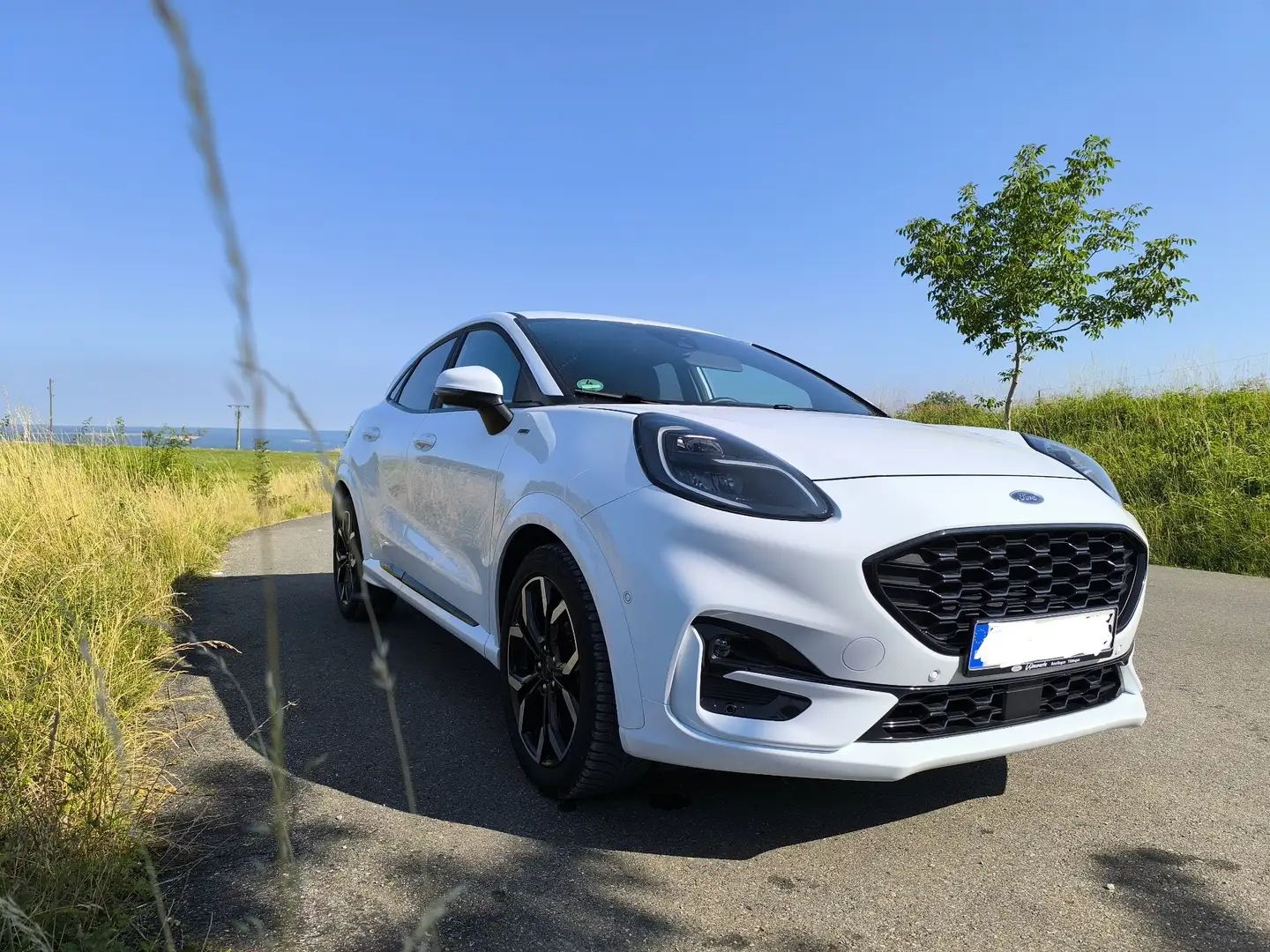 Ford Puma 1.0 EcoBoost Hybrid ST-LINE X Weiß - 2