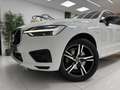 Volvo XC60 T8 Twin Recharge R-Design Blanco - thumbnail 4