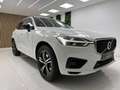 Volvo XC60 T8 Twin Recharge R-Design Blanco - thumbnail 7