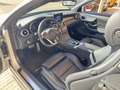 Mercedes-Benz C 250 Cabrio 250d 9G-Tronic Gri - thumbnail 12