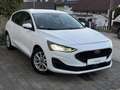 Ford Focus 1,5 EcoBlue Active Weiß - thumbnail 1