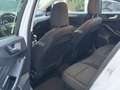 Ford Focus 1,5 EcoBlue Active Weiß - thumbnail 20