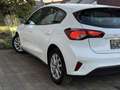 Ford Focus 1,5 EcoBlue Active Weiß - thumbnail 7