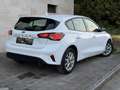 Ford Focus 1,5 EcoBlue Active Weiß - thumbnail 5