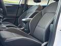 Ford Focus 1,5 EcoBlue Active Weiß - thumbnail 10