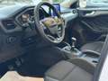Ford Focus 1,5 EcoBlue Active Weiß - thumbnail 11