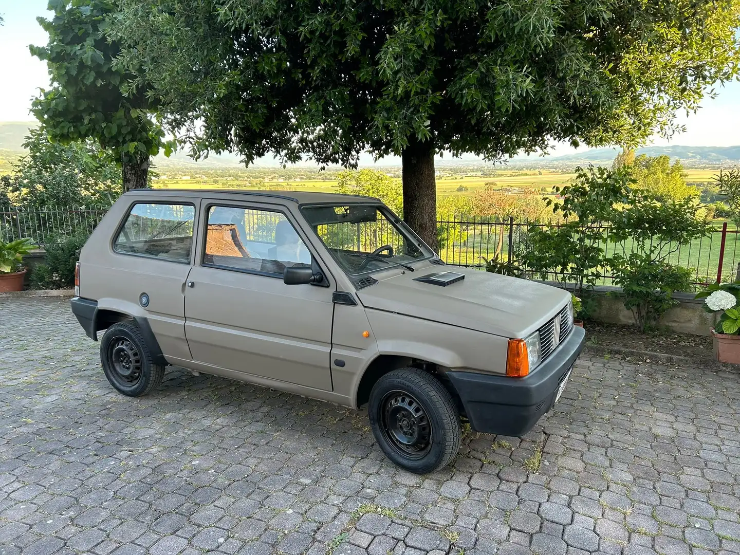 Fiat Panda Panda 1.0 S - 1