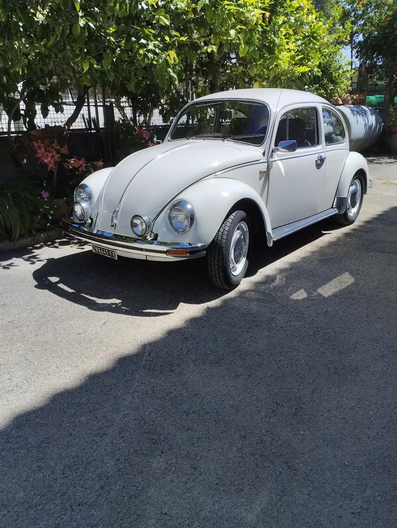 Volkswagen Maggiolino 1.2 L (messico) - 1