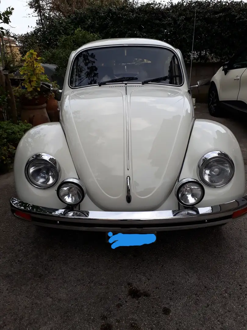 Volkswagen Maggiolino 1.2 L (messico) - 2