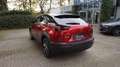 Mazda MX-30 35,5 kWh e-SKYACTIV EV 145 PS ADVANTAGE IV Rouge - thumbnail 12