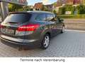 Ford Focus Turnier Titanium,Navi,Kamera,EFH,Automati, Braun - thumbnail 6
