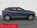 CUPRA Formentor 2.0 TSI DSG 4Dr AB 298EUR AHK NAVI SHZ Grau - thumbnail 9