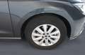 SEAT Ibiza 5ª serie 1.0 EcoTSI 110 CV 5 porte Style Grigio - thumbnail 7