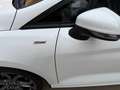 Ford Fiesta 5p. 1.5 ecoblue 85CV S&S ST-Line MY20.25 Bianco - thumbnail 14