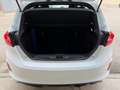 Ford Fiesta 5p. 1.5 ecoblue 85CV S&S ST-Line MY20.25 Bianco - thumbnail 13