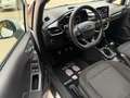 Ford Fiesta 5p. 1.5 ecoblue 85CV S&S ST-Line MY20.25 Bianco - thumbnail 9