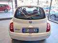 Nissan Micra 1.2 16V 3 porte Jive Bianco - thumbnail 4