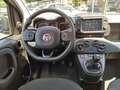 Fiat New Panda 1000 HYBRID CROSS 70CV CARPLAY PDC ITALIA Zelená - thumbnail 11