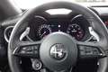 Alfa Romeo Stelvio Veloce Q4 Technologie/Premiumpaket/ACC/DAB/LED/NAV Grau - thumbnail 12