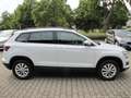 Skoda Karoq Ambition 1,5 TSI DSG Weiß - thumbnail 7