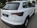 Skoda Karoq Ambition 1,5 TSI DSG Weiß - thumbnail 6