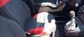 Fiat Panda Panda 1.2 E6 NO MAIL Argento - thumbnail 11