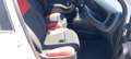 Fiat Panda Panda 1.2 E6 NO MAIL Argento - thumbnail 14