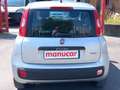 Fiat Panda Panda 1.2 E6 NO MAIL Argento - thumbnail 4