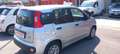 Fiat Panda Panda 1.2 E6 NO MAIL Argento - thumbnail 5