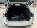 Skoda Superb Combi Style 2.0 TDI DSG Navi AHK Kamera Weiß - thumbnail 8