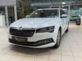 Skoda Superb Combi Style 2.0 TDI DSG Navi AHK Kamera Weiß - thumbnail 2