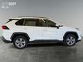 Toyota RAV 4 RAV4 2.5 Business +Allwetter+CarPlay+Kamera+PDC+ Weiß - thumbnail 7