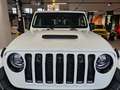 Jeep Gladiator Farout Final Edition  4WD 3.0 V6 261 PS EU6d White - thumbnail 9