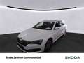 Skoda Superb Combi 2.0 STYLE AHK CAM ACC E-KLAPPE NAVI White - thumbnail 1