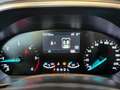 Ford Focus Focus V 2018 SW SW 1.5 ecoblue Business Co-pilot s Grigio - thumbnail 14