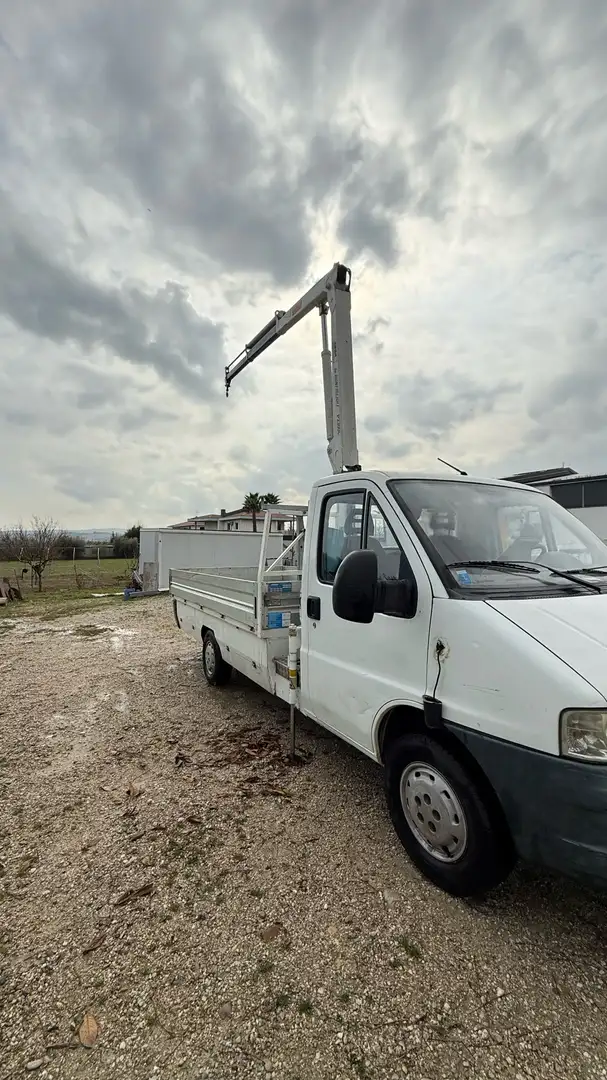 Fiat Ducato gru cassone e cassetti Blanco - 2