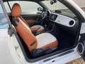 Volkswagen Beetle Cabriolet 1.2 TSI Design Xenon ,18 inch , Fender Wit - thumbnail 11