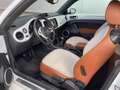 Volkswagen Beetle Cabriolet 1.2 TSI Design Xenon ,18 inch , Fender Wit - thumbnail 10