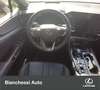 Lexus NX 350h Hybrid 4WD F-Sport Verde - thumbnail 12