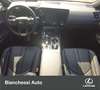 Lexus NX 350h Hybrid 4WD F-Sport Verde - thumbnail 10