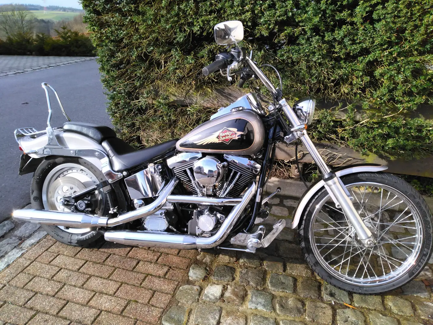 Harley-Davidson Softail Custom Argent - 1