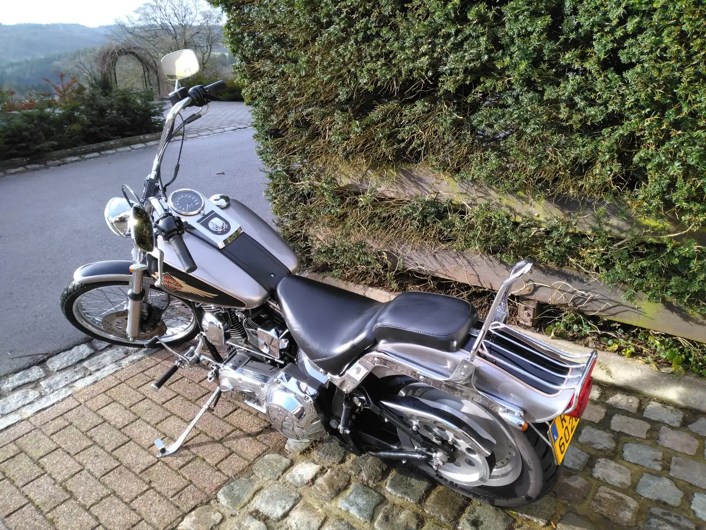 Harley-Davidson Softail Custom Argent - 2