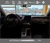 GWM HAVAL Jolion Pro Premium 1.5 Turbo DCT Schwarz - thumbnail 10