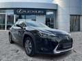 Lexus UX 300e KAM*DAB*ACC*PDC Schwarz - thumbnail 8
