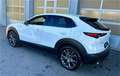 Mazda CX-30 X186 GT+ mit Navigation Weiß - thumbnail 3